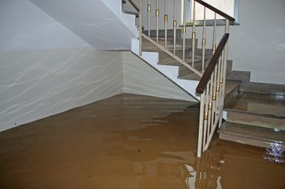 Basement Drying in Wilmington, NC