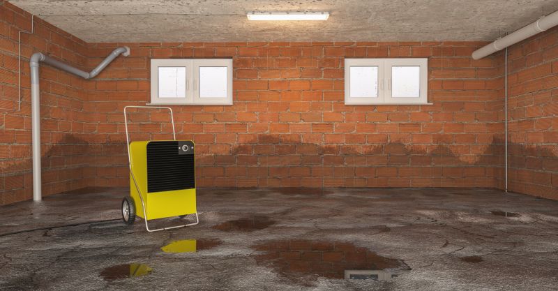 Basement Water Cleanup in Santa Rosa, CA