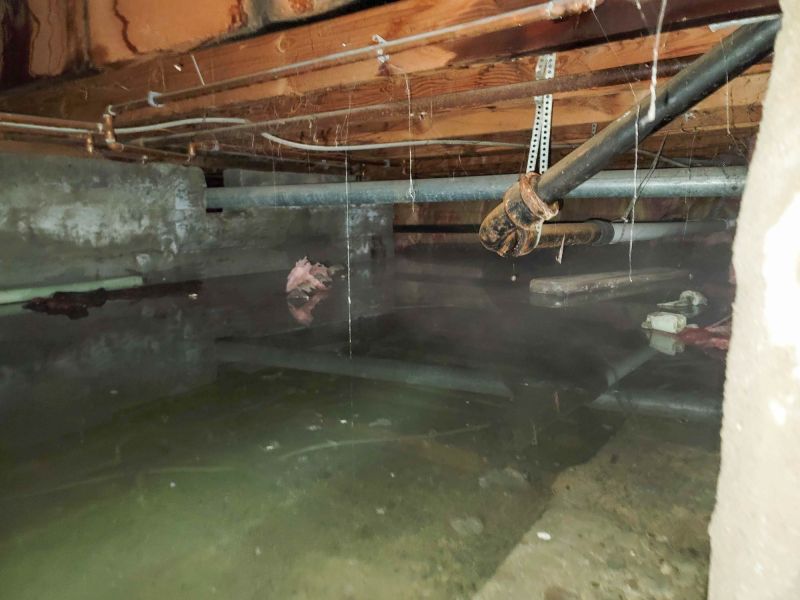 Basement Water Cleanup in Mesa, AZ