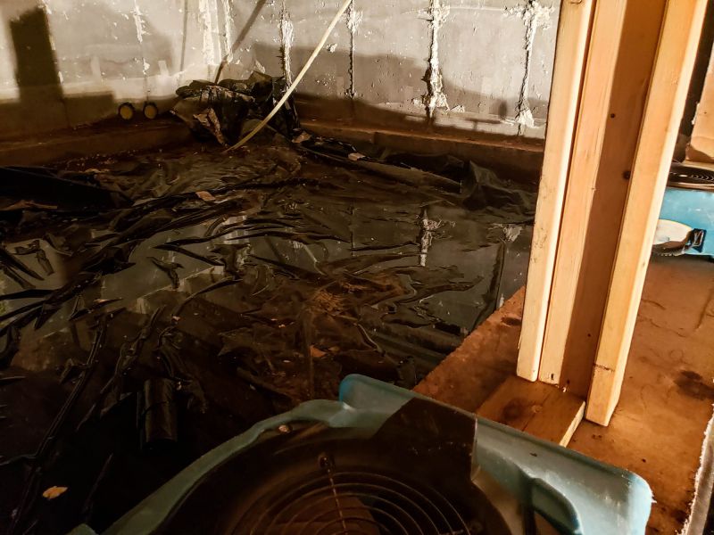 Basement Water Cleanup in Wilmington, NC