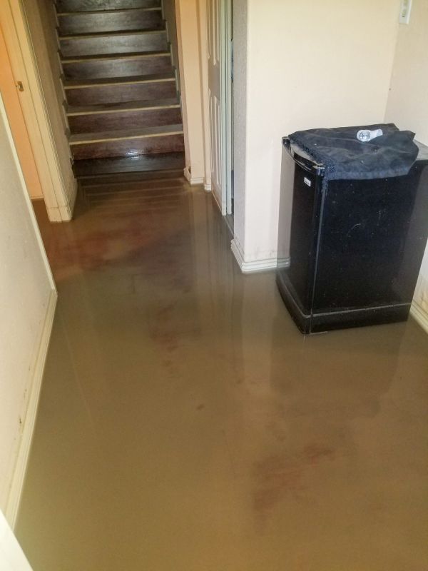 Emergency Water Removal in Mesa, AZ