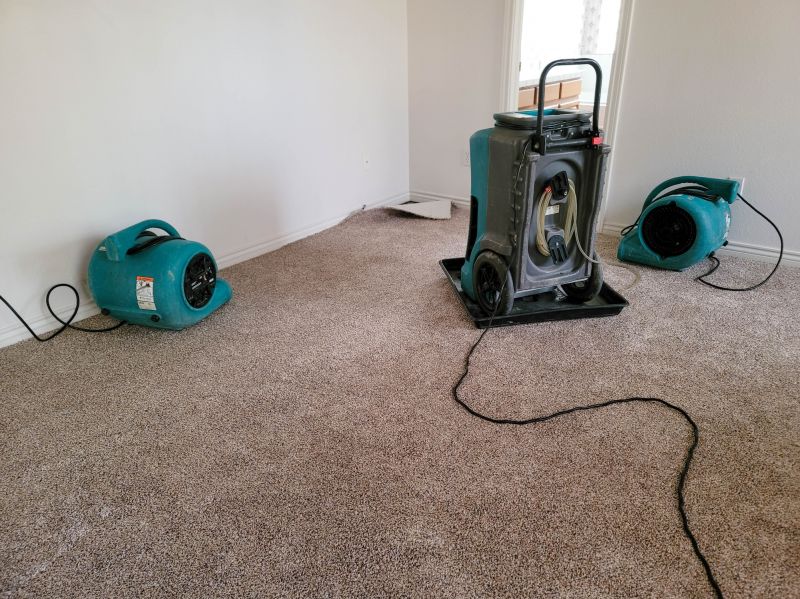 Flood Cleanup Service in Phoenix, AZ