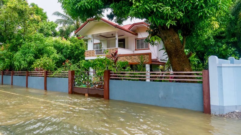 Flood Damage Cleanup detail