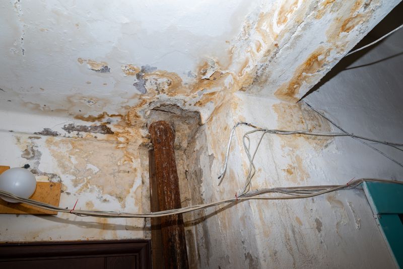 Storm Damage Cleanup in Phoenix, AZ