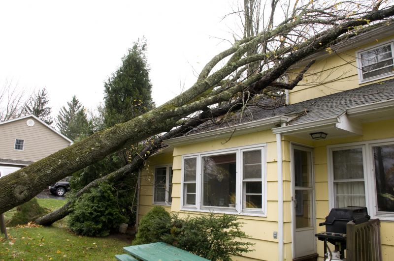 Storm Damage Restoration in Olathe, KS