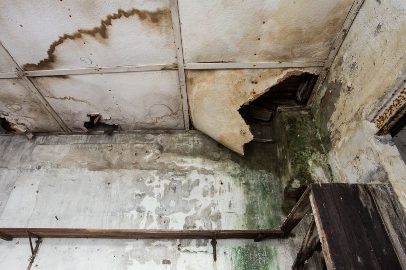 Water Damage Mitigation in Wilmington, NC