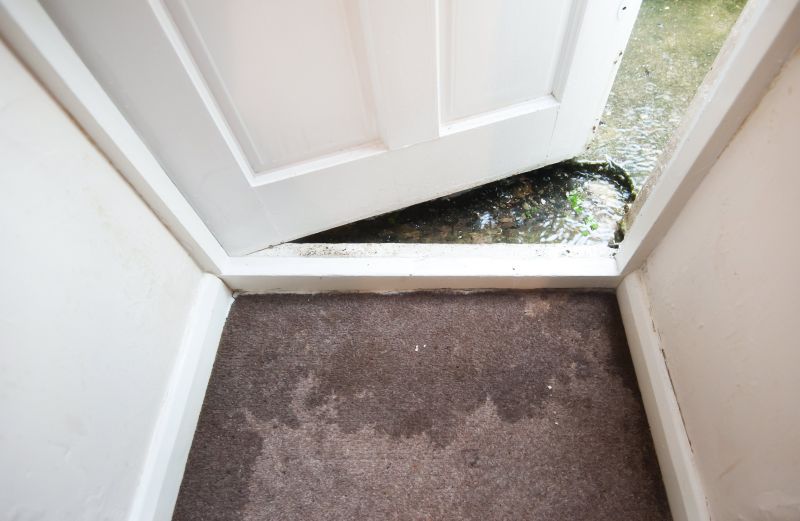 Wet Carpet Restoration in Santa Rosa, CA