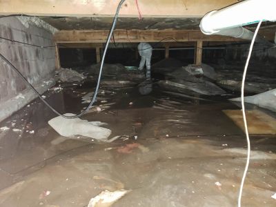 Storm Recovery Service in Chandler, AZ