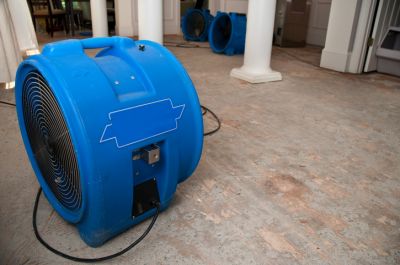 Dryouts and Dehumidifying Service